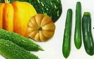 乌衣吃瓜,古韵今风共赏