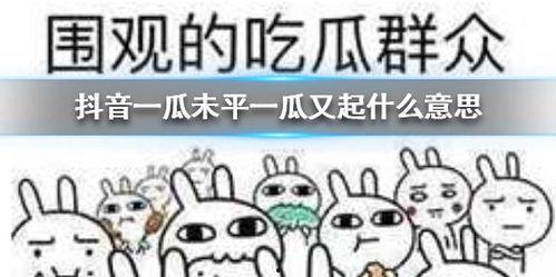 抖音暴躁吃瓜,暴躁吃瓜，揭秘网络热点背后的真相