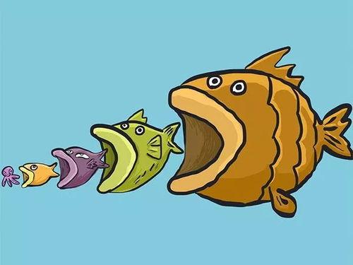 秩序小鱼吃瓜爆料,娱乐圈幕后瓜料大曝光