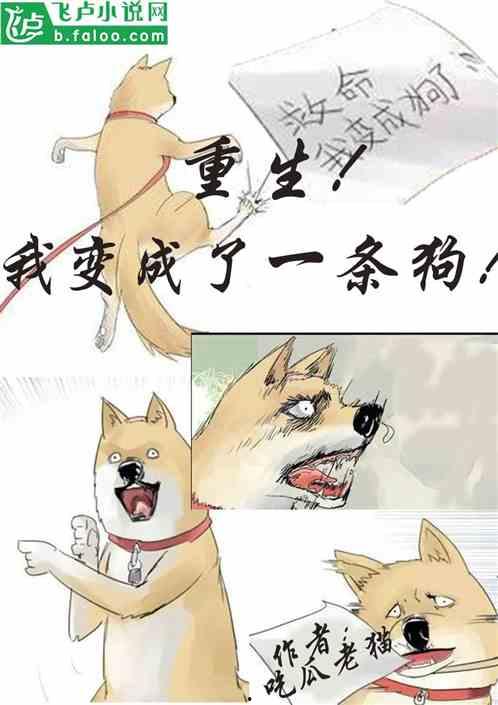 吃瓜变强小说,从吃瓜到变强的奇幻之旅