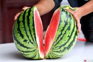 梦见死去的人吃瓜,逝者归来,瓜香四溢的神秘之旅