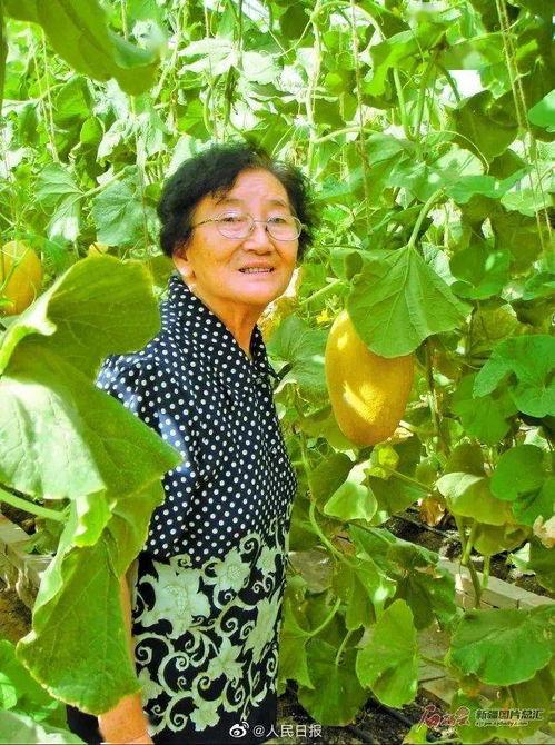 顽强吃瓜,揭秘娱乐圈的坚韧与智慧