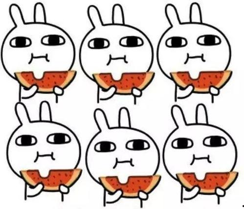 乖乖带你吃瓜,一起探索美食瓜界之旅