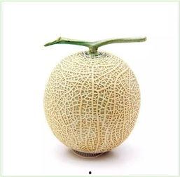 吃网纹瓜吗,网纹瓜的口感与食用体验解析