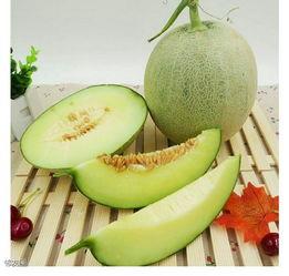 吃网纹瓜吗,网纹瓜的口感与食用体验解析