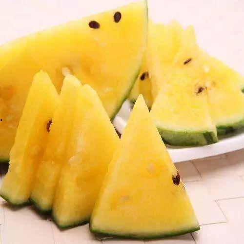 黑吃料吃瓜用哪个