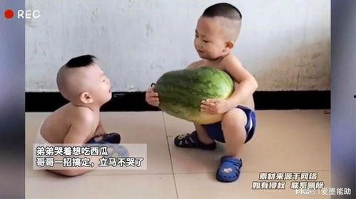 带弟弟吃瓜